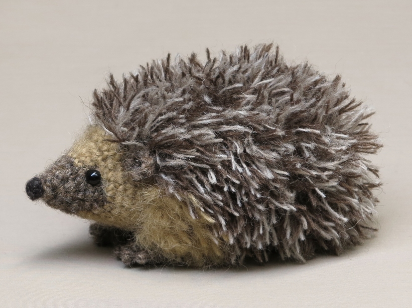 Realistic-hedgehog